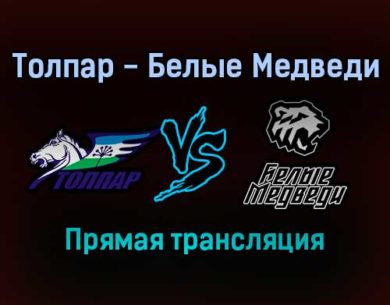 Толпар — Белые Медведи прямая трансляция 16 января 2022 года