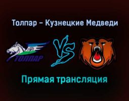 Толпар — Кузнецкие Медведи прямая трансляция 23 января 2022
