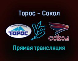 Торос — Сокол прямая трансляция 27 января 2022 года