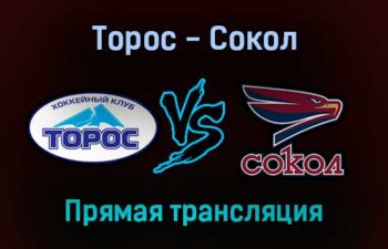 Торос — Сокол прямая трансляция 27 января 2022 года