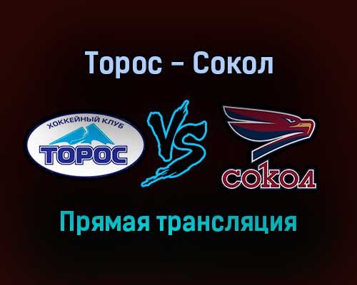 Торос — Сокол прямая трансляция 27 января 2022 года