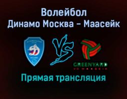 Волейбол Динамо Москва — Маасейк прямая трансляция 26 января 2022 года