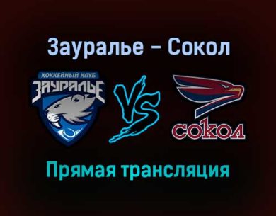 Зауралье — Сокол прямая трансляция 7 января 2022 года