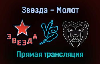Звезда — Молот прямая трансляция 18 января 2022 года