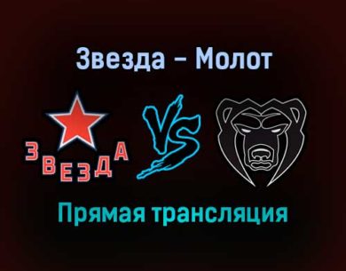 Звезда — Молот прямая трансляция 18 января 2022 года