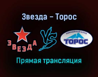 Звезда — Торос прямая трансляция 16 января 2022 года