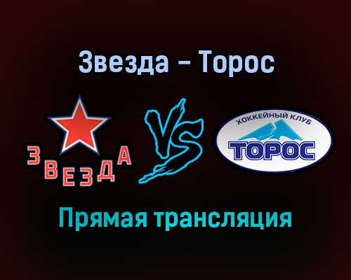 Звезда — Торос прямая трансляция 16 января 2022 года Звезда — Торос прямая трансляция 16 января 2022 года
