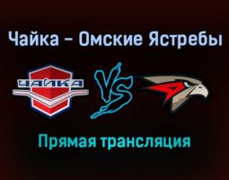 Чайка — Омские Ястребы прямая трансляция 1 февраля 2022 года