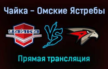 Чайка — Омские Ястребы прямая трансляция 1 февраля 2022 года