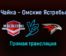 Чайка — Омские Ястребы прямая трансляция 1 февраля 2022 года