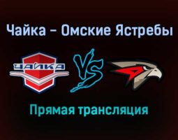 Чайка — Омские Ястребы прямая трансляция 2 февраля 2022 года