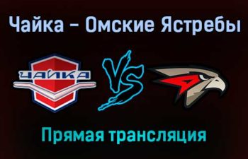 Чайка — Омские Ястребы прямая трансляция 2 февраля 2022 года