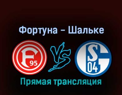 Фортуна — Шальке 13 февраля 2022 года прямая трансляция