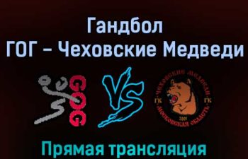 Гандбол ГОГ — Чеховские Медведи 15 февраля 2022 года прямая трансляция