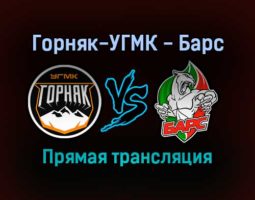 Горняк-УГМК — Барс прямая трансляция 3 февраля 2022 года