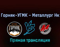 Горняк-УГМК — Металлург Нк 25 февраля 2022 года прямая трансляция