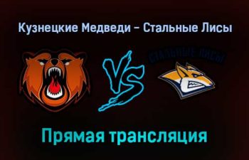 Кузнецкие Медведи — Стальные Лисы прямая трансляция 3 февраля 2022 года