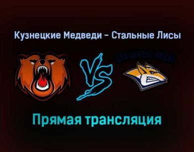Кузнецкие Медведи — Стальные Лисы прямая трансляция 3 февраля 2022 года