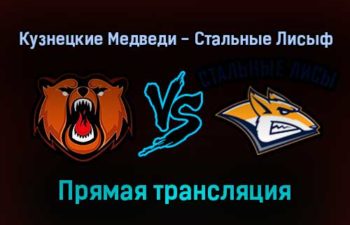 Кузнецкие Медведи — Стальные Лисы прямая трансляция 4 февраля 2022 года
