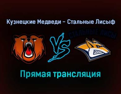 Кузнецкие Медведи — Стальные Лисы прямая трансляция 4 февраля 2022 года
