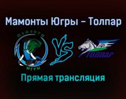 Мамонты Югры — Толпар прямая трансляция 3 февраля 2022 года
