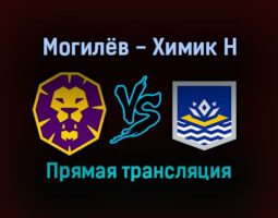 Могилёв — Химик Н прямая трансляция 3 февраля 2022 года