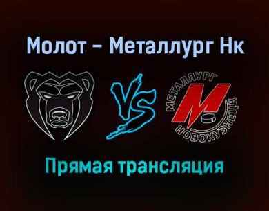 Молот — Металлург Нк прямая трансляция 2 февраля 2022 года