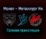 Молот — Металлург Нк прямая трансляция 2 февраля 2022 года