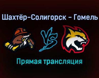 Шахтёр-Солигорск — Гомель прямая трансляция 4 февраля 2022 года