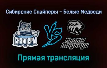 Сибирские Снайперы — Белые Медведи прямая трансляция 3 февраля 2022 года