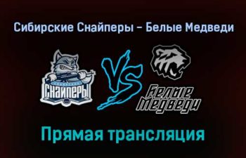 Сибирские Снайперы — Белые Медведи прямая трансляция 4 февраля 2022 года