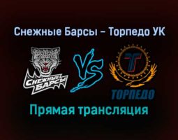 Снежные Барсы — Торпедо УК прямая трансляция 1 февраля 2022 года