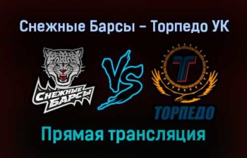 Снежные Барсы — Торпедо УК прямая трансляция 1 февраля 2022 года