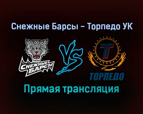 Снежные Барсы — Торпедо УК прямая трансляция 1 февраля 2022 года Снежные Барсы — Торпедо УК прямая трансляция 1 февраля 2022 года