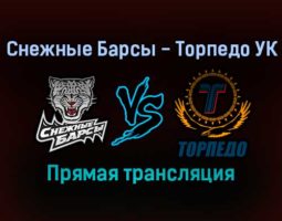 Снежные Барсы — Торпедо УК прямая трансляция 2 февраля 2022 года