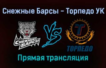 Снежные Барсы — Торпедо УК прямая трансляция 2 февраля 2022 года