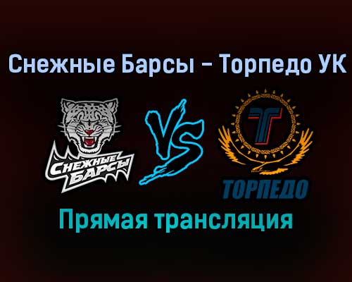 Снежные Барсы — Торпедо УК прямая трансляция 2 февраля 2022 года