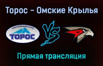 Торос — Омские Крылья прямая трансляция 2 февраля 2022 года