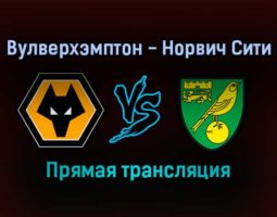 Вулверхэмптон — Норвич Сити прямая трансляция 5 февраля 2022 года
