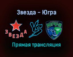 Звезда — Югра прямая трансляция 1 февраля 2022 года