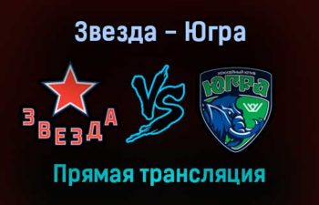 Звезда — Югра прямая трансляция 1 февраля 2022 года