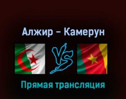 Алжир — Камерун 29 марта 2022 года прямая трансляция