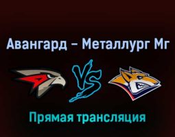 Авангард — Металлург Мг 24 марта 2022 года прямая трансляция