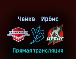 Чайка — Ирбис 29 марта 2022 года прямая трансляция