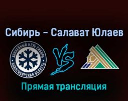 Сибирь — Салават Юлаев 8 марта 2022 года прямая трансляция
