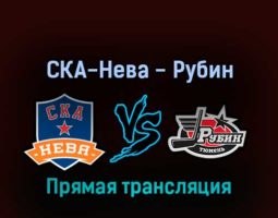 СКА-Нева — Рубин 31 марта 2022 года прямая трансляция
