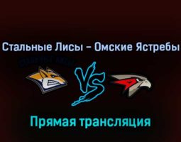 Стальные Лисы — Омские Ястребы 29 марта 2022 года прямая трансляция