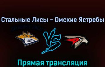 Стальные Лисы — Омские Ястребы 29 марта 2022 года прямая трансляция