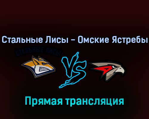 Стальные Лисы — Омские Ястребы 29 марта 2022 года прямая трансляция