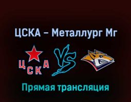 ЦСКА — Металлург Мг 22 апреля 2022 года прямая трансляция